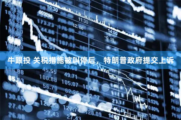 牛跟投 关税措施被叫停后，特朗普政府提交上诉